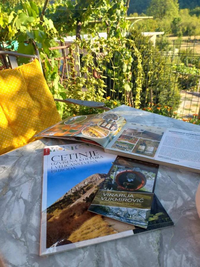 Aleksa Pensionat Cetinje Eksteriør billede